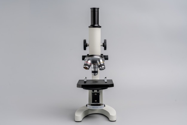 Estructuralmente compensar pálido Las partes del microscopio óptico y sus funciones - Plataformasinc.es