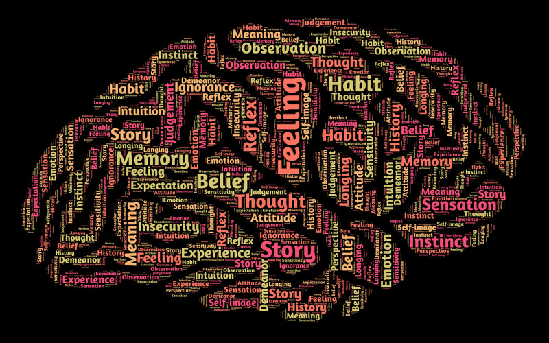 Diferencias entre la Psicología y la Neuropsicología
