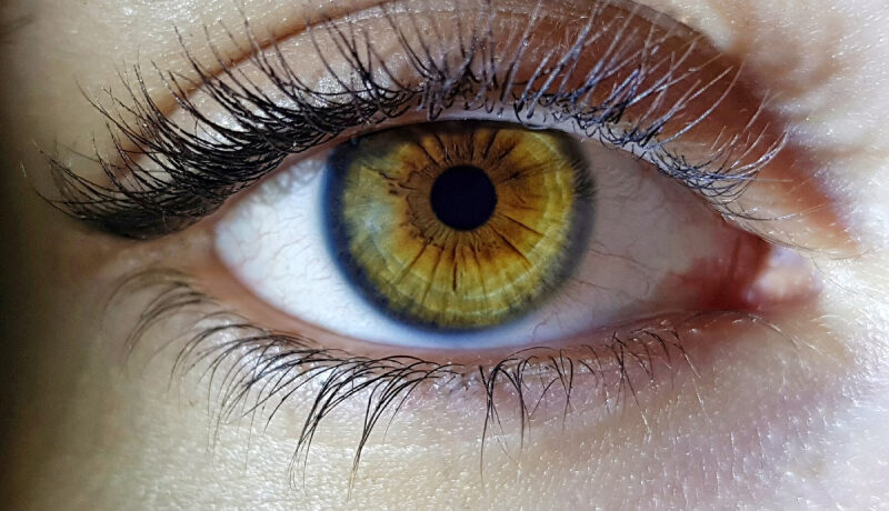 Ojos hazel