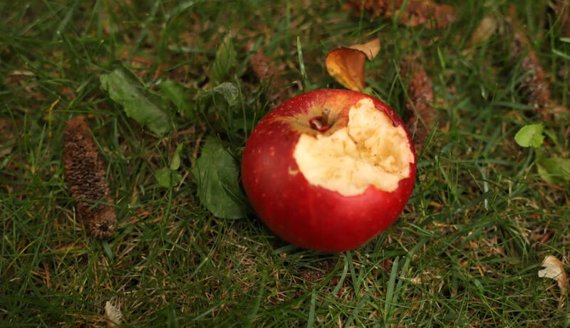 Manzana