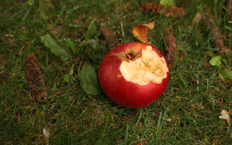 Manzana