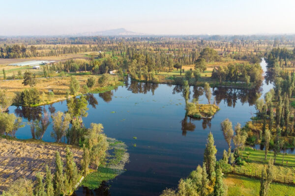 chinampas
