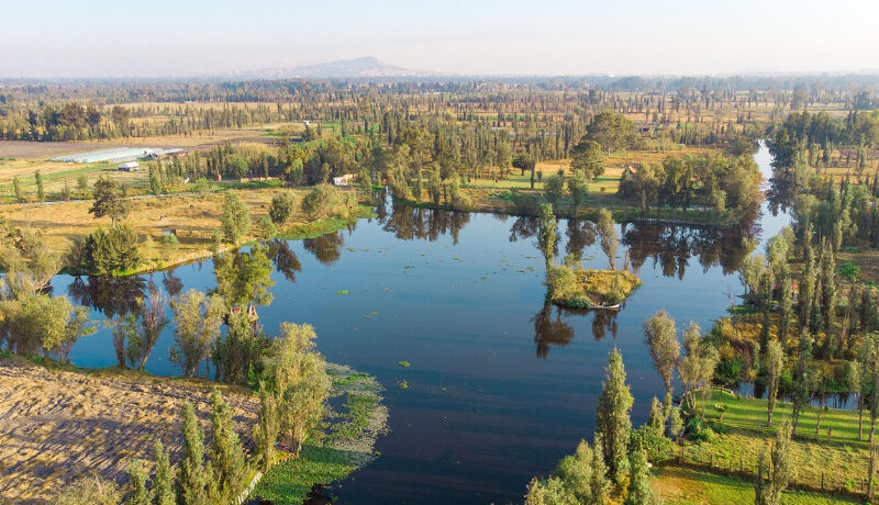 chinampas