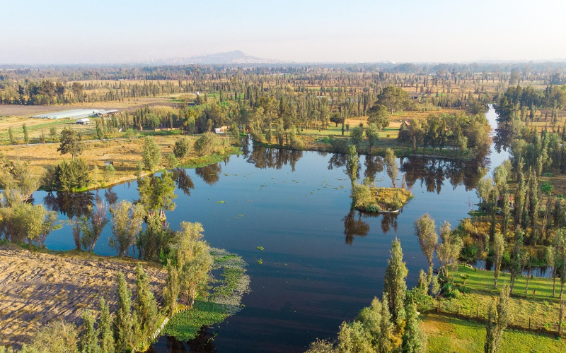 chinampas