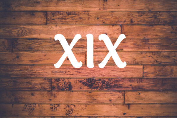 XIX