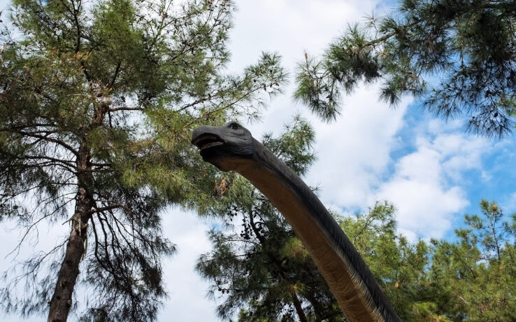 Diplodocus