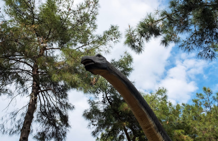 Diplodocus
