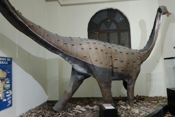 Representación de un titanosaurio de Bagua